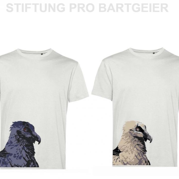 Mit diesen beiden T-shirts unterstützen Sie das Bartgeierprojekt (c)noefalchi.com
